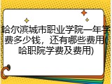 哈尔滨城市职业学院一年学费多少钱，还有哪些费用(哈职院学费及费用)