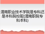 渭南职业技术学院是专科还是本科院校呢(渭南职院专科本科)