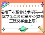 常州工业职业技术学院一年奖学金最多能拿多少(常州工院奖学金上限)