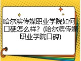 哈尔滨传媒职业学院如何，口碑怎么样？(哈尔滨传媒职业学院口碑)
