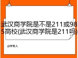 武汉商学院是不是211或985高校(武汉商学院是211吗)