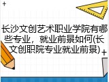 长沙文创艺术职业学院有哪些专业，就业前景如何(长文创职院专业就业前景)