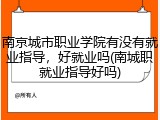 南京城市职业学院有没有就业指导，好就业吗(南城职就业指导好吗)