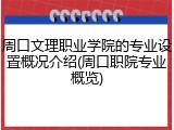 周口文理职业学院的专业设置概况介绍(周口职院专业概览)