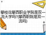 攀枝花攀西职业学院是双一流大学吗?(攀西职院是双一流吗)