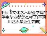 平顶山文化艺术职业学院的学生毕业都怎么样了(平顶山艺职毕业生去向)