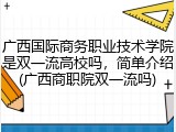 广西国际商务职业技术学院是双一流高校吗，简单介绍(广西商职院双一流吗)