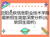 沈阳北软信息职业技术学院最新招生简章深度分析(北软招生简析)