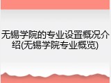无锡学院的专业设置概况介绍(无锡学院专业概览)