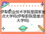 伊犁职业技术学院是国家重点大学吗(伊犁职院是重点大学吗)