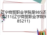 辽宁商贸职业学院是985还是211(辽宁商贸职业学院985211)