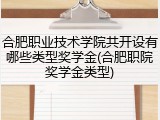 合肥职业技术学院共开设有哪些类型奖学金(合肥职院奖学金类型)