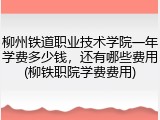 柳州铁道职业技术学院一年学费多少钱，还有哪些费用(柳铁职院学费费用)