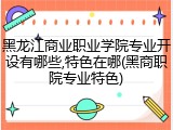 黑龙江商业职业学院专业开设有哪些,特色在哪(黑商职院专业特色)