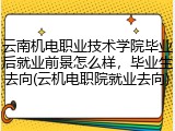 云南机电职业技术学院毕业后就业前景怎么样，毕业生去向(云机电职院就业去向)