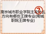 南京城市职业学院主攻什么方向有哪些王牌专业(南城职院王牌专业)