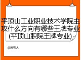 平顶山工业职业技术学院主攻什么方向有哪些王牌专业(平顶山职院王牌专业)