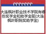 大连枫叶职业技术学院有哪些奖学金和助学金呢(大连枫叶职院奖助学金)