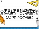 天津电子信息职业技术学院是什么级别，公办还是民办(天津电子公办级别)