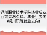 铜川职业技术学院毕业后就业前景怎么样，毕业生去向(铜川职院就业去向)