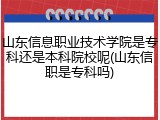 山东信息职业技术学院是专科还是本科院校呢(山东信职是专科吗)