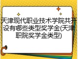 天津现代职业技术学院共开设有哪些类型奖学金(天津职院奖学金类型)