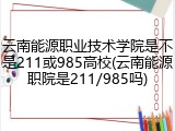 云南能源职业技术学院是不是211或985高校(云南能源职院是211/985吗)