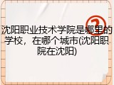 沈阳职业技术学院是哪里的学校，在哪个城市(沈阳职院在沈阳)