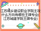 江苏城乡建设职业学院主攻什么方向有哪些王牌专业(江苏城建学院王牌专业)