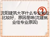 沈阳建筑大学什么专业就业比较好，原因是啥(沈建就业佳专业原因)