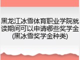 黑龙江冰雪体育职业学院就读期间可以申请哪些奖学金(黑冰雪奖学金种类)