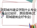 沈阳城市建设学院什么专业就业比较好，原因是啥(沈阳城建就业好专业)