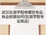 武汉东湖学院有哪些专业，就业前景如何(东湖学院专业就业)
