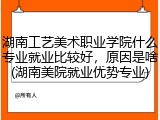 湖南工艺美术职业学院什么专业就业比较好，原因是啥(湖南美院就业优势专业)