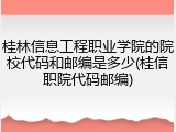 桂林信息工程职业学院的院校代码和邮编是多少(桂信职院代码邮编)