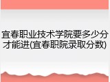 宜春职业技术学院要多少分才能进(宜春职院录取分数)
