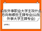 山东外事职业大学主攻什么方向有哪些王牌专业(山东外事大学王牌专业)