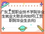 广东工贸职业技术学院毕业生就业大致去向如何(工贸职院毕业生去向)