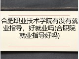 合肥职业技术学院有没有就业指导，好就业吗(合职院就业指导好吗)