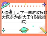 大连理工大学一年财政拨款大概多少钱(大工年财政拨款)