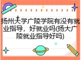扬州大学广陵学院有没有就业指导，好就业吗(扬大广陵就业指导好吗)