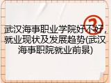 武汉海事职业学院好不好，就业现状及发展趋势(武汉海事职院就业前景)