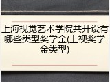 上海视觉艺术学院共开设有哪些类型奖学金(上视奖学金类型)
