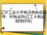 辽宁工业大学有没有就业指导，好就业吗(辽工大就业指导好吗)