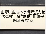 正德职业技术学院师资力量怎么样，名气如何(正德学院师资名气)