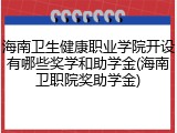 海南卫生健康职业学院开设有哪些奖学和助学金(海南卫职院奖助学金)