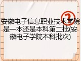 安徽电子信息职业技术学院是一本还是本科第二批(安徽电子学院本科批次)