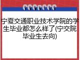 宁夏交通职业技术学院的学生毕业都怎么样了(宁交院毕业生去向)