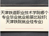 天津铁道职业技术学院哪个专业毕业就业前景比较好(天津铁院就业佳专业)