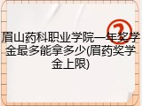 眉山药科职业学院一年奖学金最多能拿多少(眉药奖学金上限)